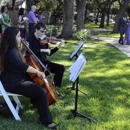 Cello Vida - Wedding Music & Entertainment
