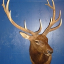 True 2 Life Taxidermy - Taxidermists