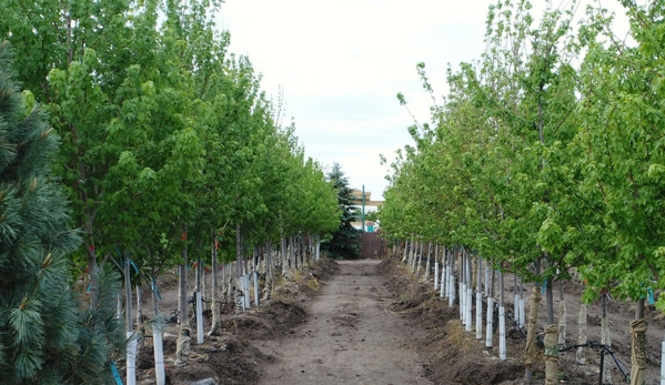 Pine Lane Nursery - Parker, CO