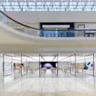 Apple Chestnut Hill