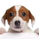 Arrowhead Pooper Scoopers - Dog & Cat Grooming & Supplies