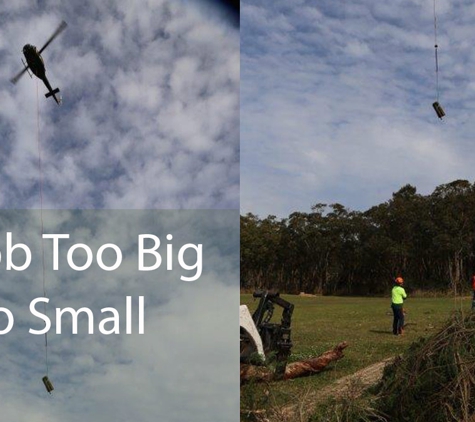 Newcastle Tree Care - Waratah, NSW. No Job Too Big Or Too Small