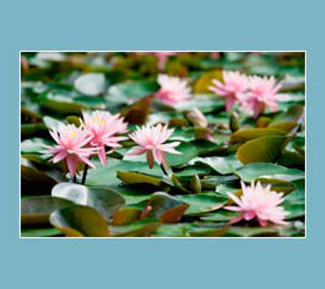 Palmdale Lawn Cemetery & Memorial Park - Visit Us Online - Palmdale, NSW