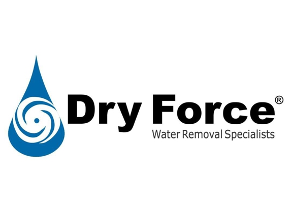 Dry Force Water Removal Specialists - Houston, TX