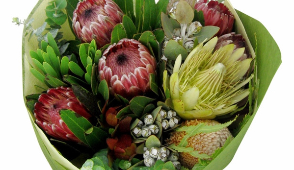 Flowers Across Sydney - Marrickville, NSW