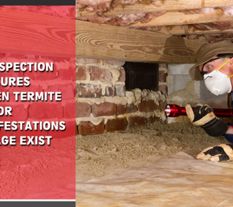 Newmans Building Services NSW - Dubbo, NSW. Pest Inspection Ensures No Hidden Termite Or Borer Infestations & Damage Exist