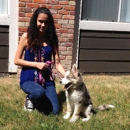 Better Manners Dog Training - Pet Services