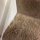 Compass Carpet Repair & Cleaning