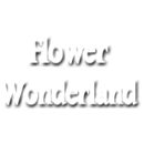 Flower Wonderland - Flowers, Plants & Trees-Silk, Dried, Etc.-Retail