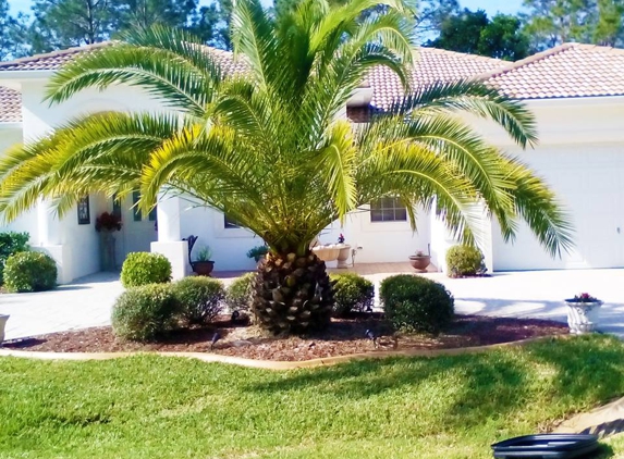 Blade Lawn Care & Landscape Services - Palm Coast, FL