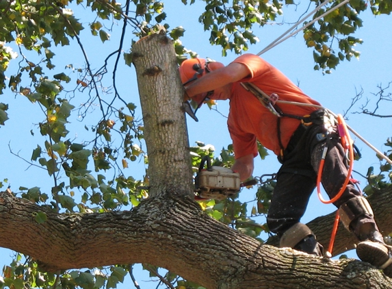 Arbor Tree Care - Milwaukee, WI