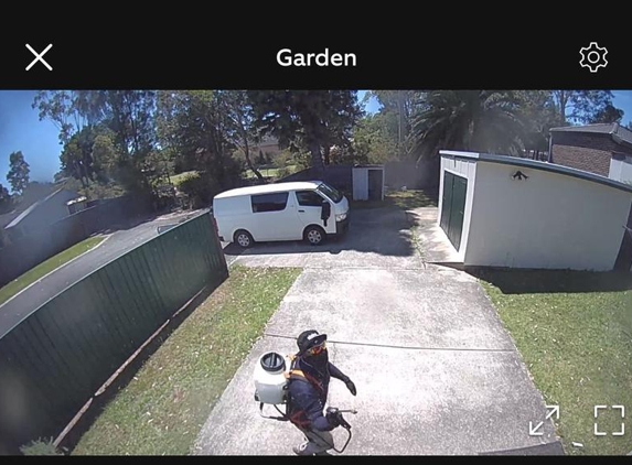 Ocg pest control Liverpool - Liverpool, NSW. They don’t miss a thing