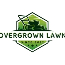 Overgrown Lawn Care & Clean-up - Snow Removal Service