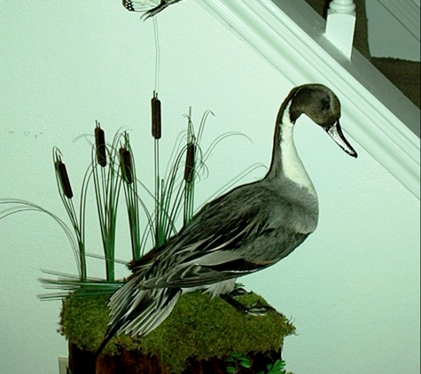 True-To-Nature Taxidermy - Palmyra, NY