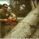 Rite Guys Tree Service - Tree Service