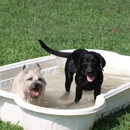 Charlotte Kennels - Pet Boarding & Kennels