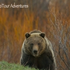 Jackson Hole Eco Tour Adventures gallery