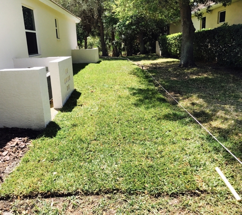 Troyer Tree Service - Sarasota, FL