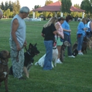 Guaranteed Dog Training - Pet Training