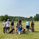 Great Off Leash Dog Training - Dog Training