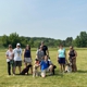 Great Off Leash Dog Training