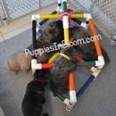 Puppies in Bloom, LLC - Pet Supplies & Foods-Wholesale & Manufacturers