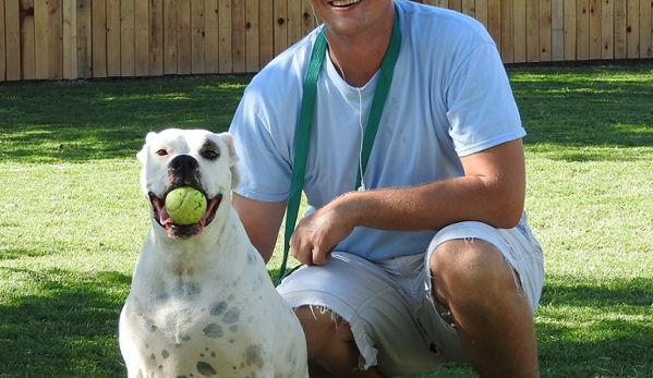 Kennel Comfort Pet Motel and Dog Training Tucson - Tucson, AZ