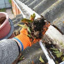 LeafTide Solutions - Roof Cleaning