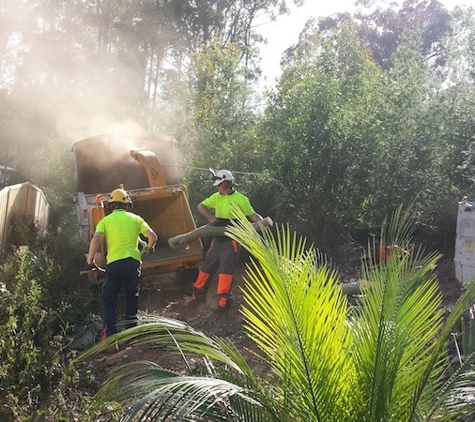 Branching Out Tree Care - Barragup, WA