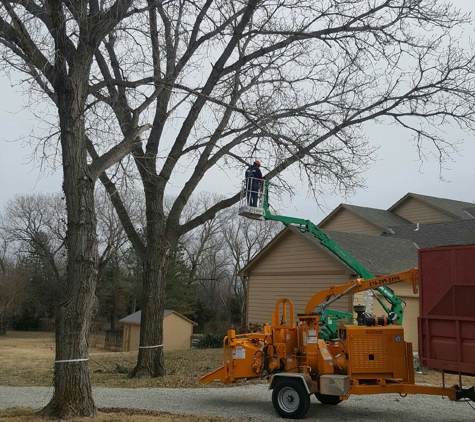 A & M Tree Service & Stump Grinding - Wichita, KS