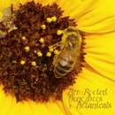 Bee Rooted - Beekeeping & Supplies