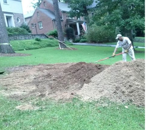 Coleman Stump Removal - lithia springs, GA