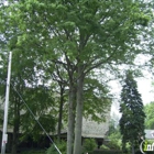 Cove United Methodist Church