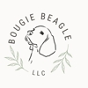 Bougie Beagle gallery