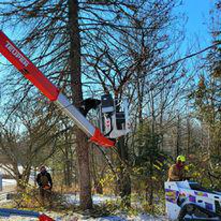 Bully's Tree Service - Metamora, IL