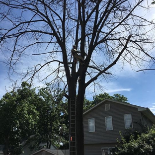 Miller Tree Service - Spring Grove, IL