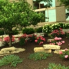 New Era Landscaping gallery