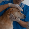 Field & Home Mobile Veterinary Care gallery