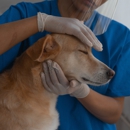 Field & Home Mobile Veterinary Care - Veterinarians