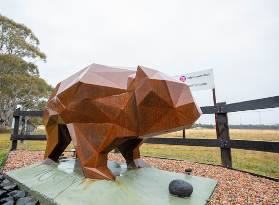 Truffle Hunting at L'air du Wombat - Oallen, NSW
