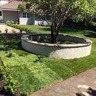 D. Flores Landscape Services