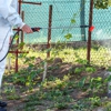 Ehrlich Pest Control gallery
