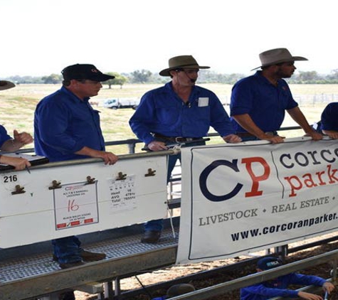 Corcoran Parker - Mansfield, VIC