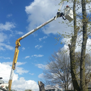 Dan Thomas Tree Works & Bucket Truck Ser - Brookfield, MO