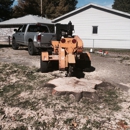 Tree Service Pros of Lincoln - Arborists