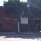 Young Sung USA Inc