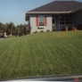 Photo #11