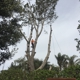 Top Notch Tree Care, Inc.