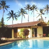 Papaya Paradise B & B gallery