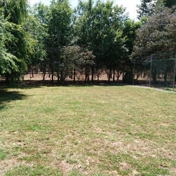 Gallery Image Number 4